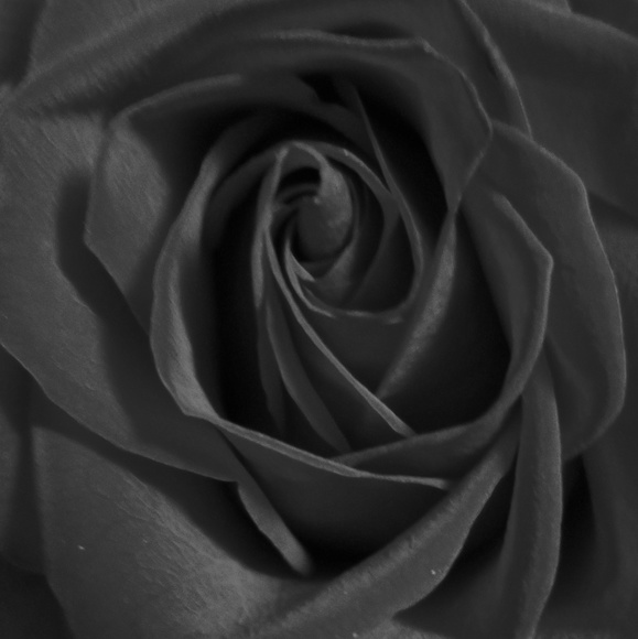 Meet your Posher, Lorna - Picture 1 of 1